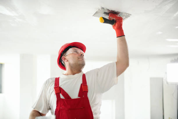 Best Drywall Removal and Disposal  in Plafield, IN